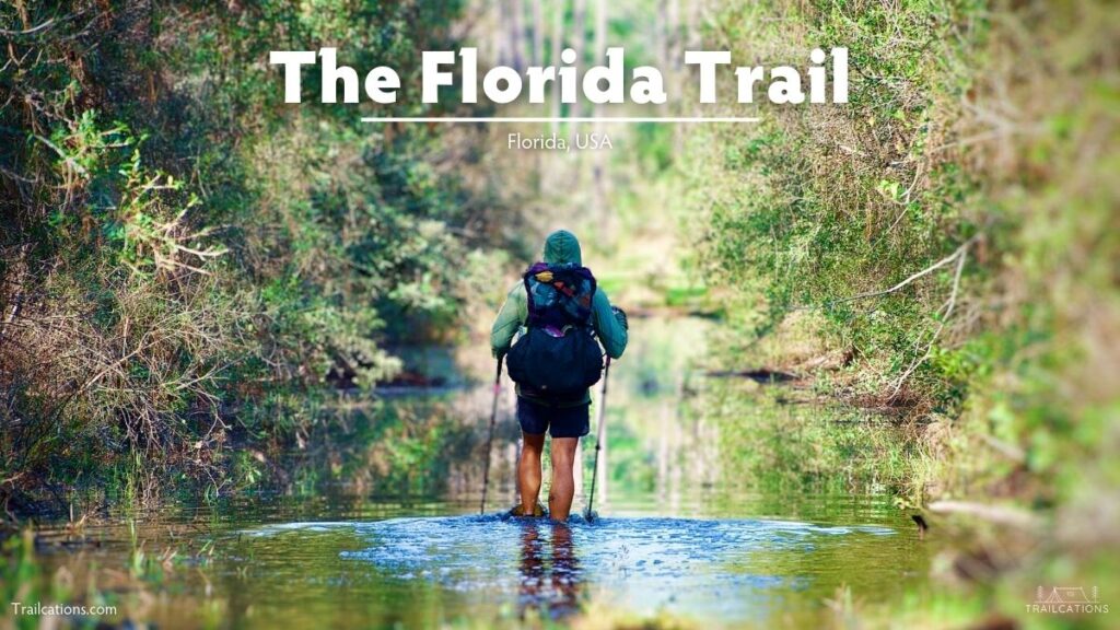 Your feet will definitely get wet while thru-hiking the 1,400 mile long Florida Trail. 