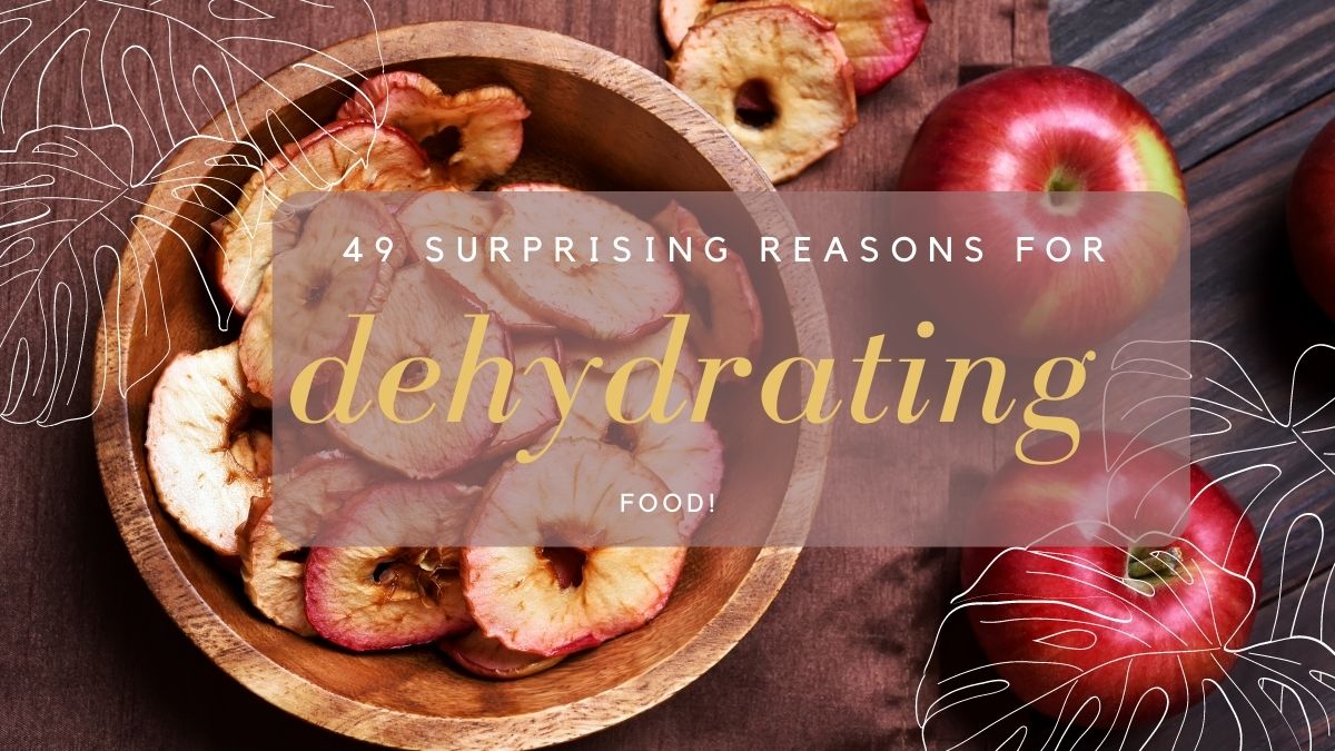49 Amazing Benefits of Dehydrating Food Trailcations