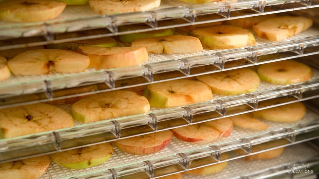 Apple slices are one of the easiest and most delicious foods to dehydrate in a food dehydrator.