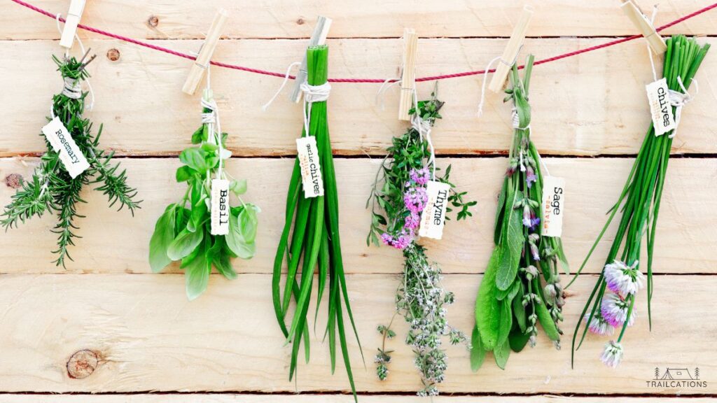 Room drying is a low cost, easy way to dry foods like herbs, flowers and mushrooms.