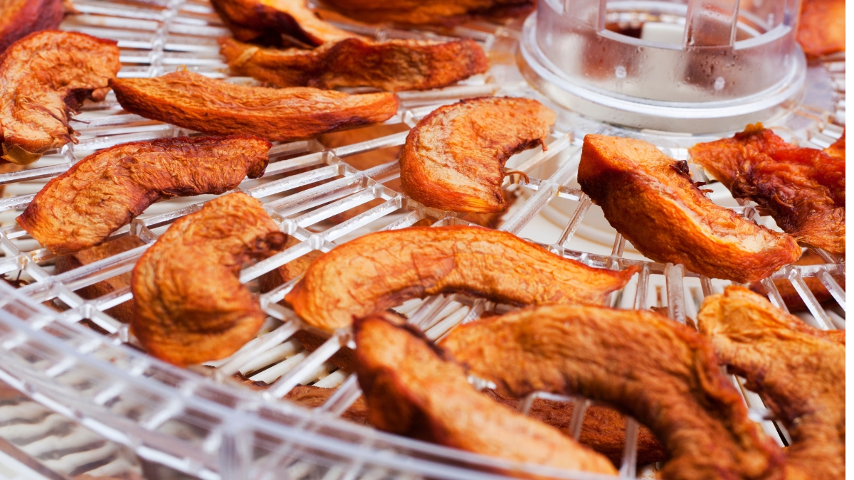 How to clean a food dehydrator a step by step guide trailcations