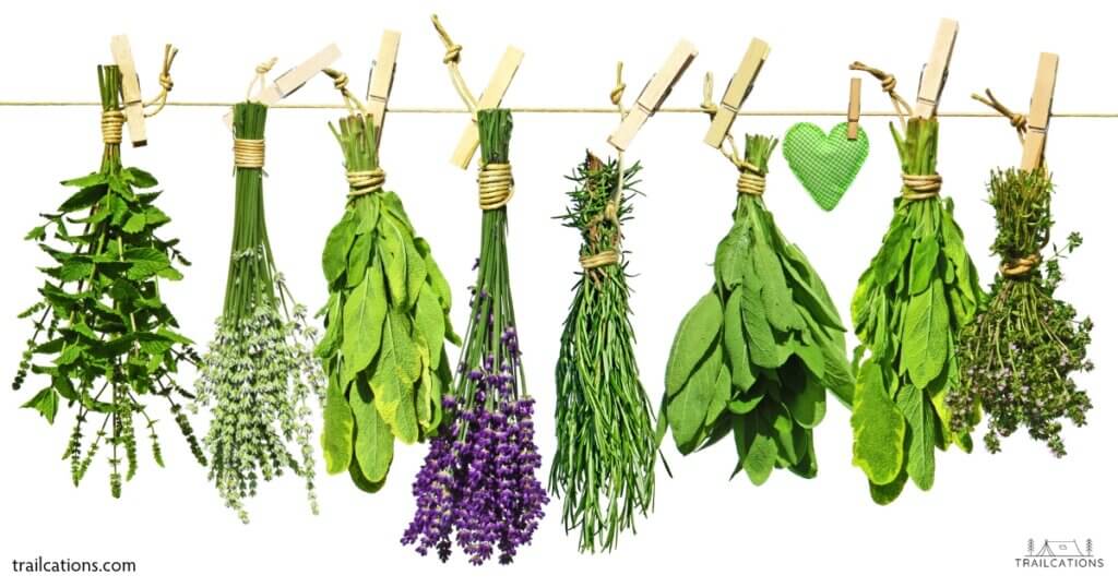 Herbs and spices are excellent for dehydrating.  Save money by growing your own herbs in a garden or in a sunny window and dehydrating them at home. 