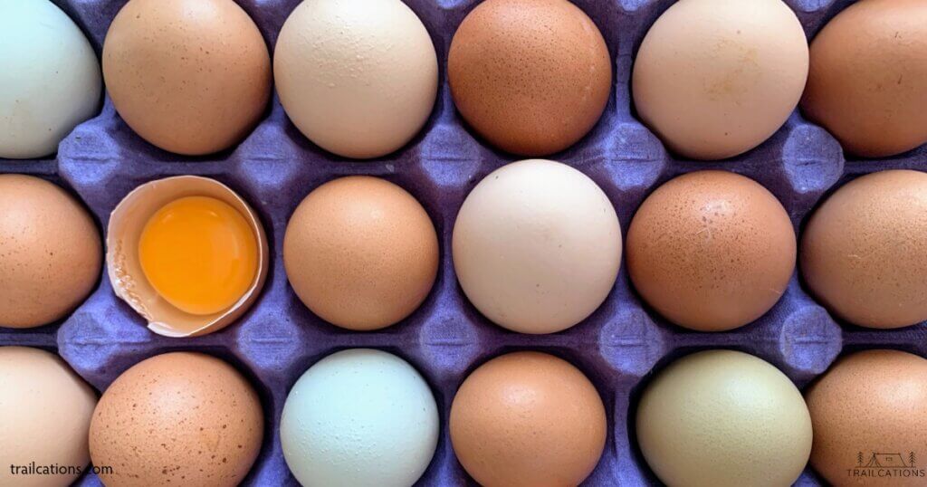 You cannot safely dehydrate eggs because the low temperatures and long drying times allow for bad bacteria like E.coli, Listeria and other to grow. Instead, opt for commercially freeze-dried egg powders or dehydrated plant-based egg substitutes. 