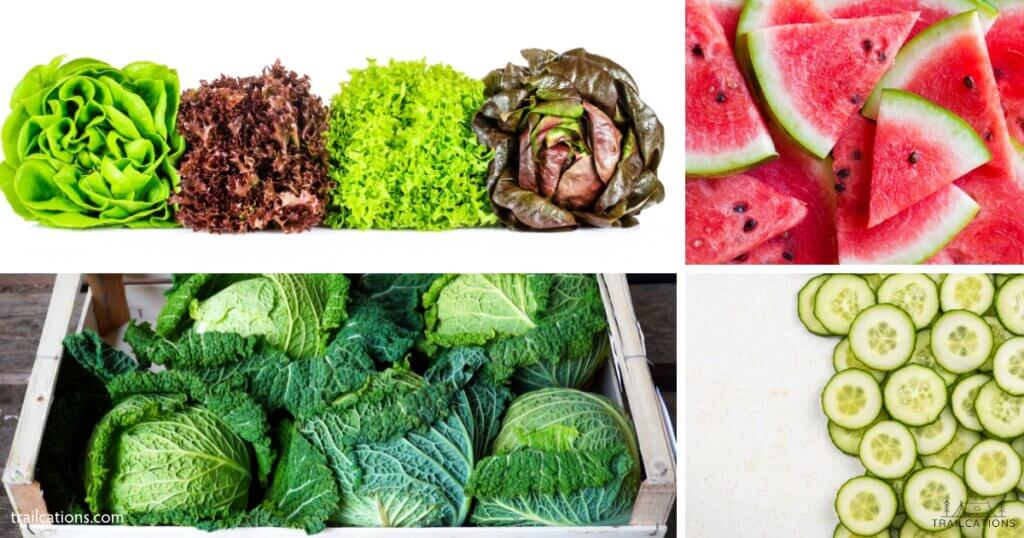Some foods that have high water content like lettuce, cabbage, cucumbers and watermelon tend to dehydrate with interesting textures. Sometimes it's best to avoid dehydrating these types of foods as they don't always rehydrate with the best quality textures and tastes.
