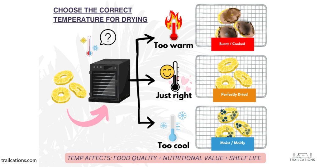 It's important to choose the correct temperature for dehydrating food. Too hot and you could burn or cook the food. Too cold and the food will mold or grow bacteria. The correct temperature will allow you to retain the most nutrients in your food and store it for many months or even years.