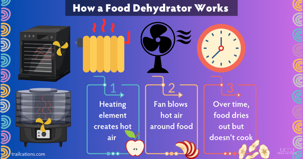 How a food dehydrator works is 3 easy steps: heat + air flow + time = dried food!