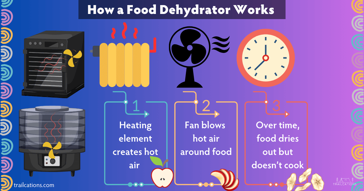 Dehydrating 101 Ultimate Guide to How a Food Dehydrator Works