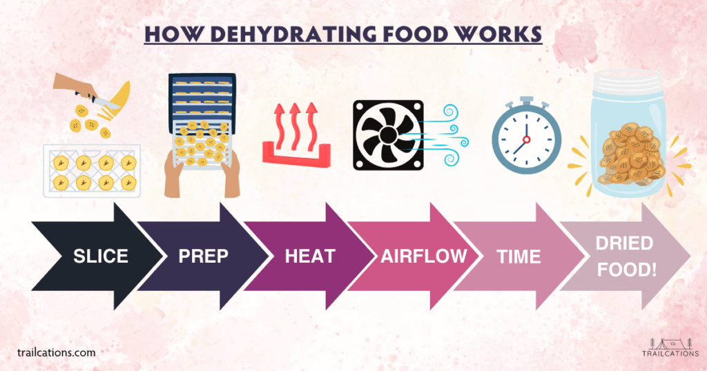 Dehydrating uses hot air and a fan to slowly remove moisture from a food.   The dehydrating process is an age-old  means of preserving food.   