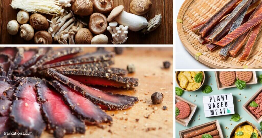 Homemade jerky can be made out of so many types of ingredients. You can use your food dehydrator to make traditional beef jerky or try an alternative like fish, turkey, mushrooms or plant-based meats!