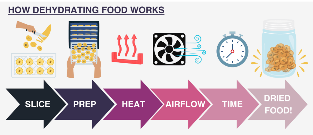 How Dehydrating Food Works - the ultimate guide 