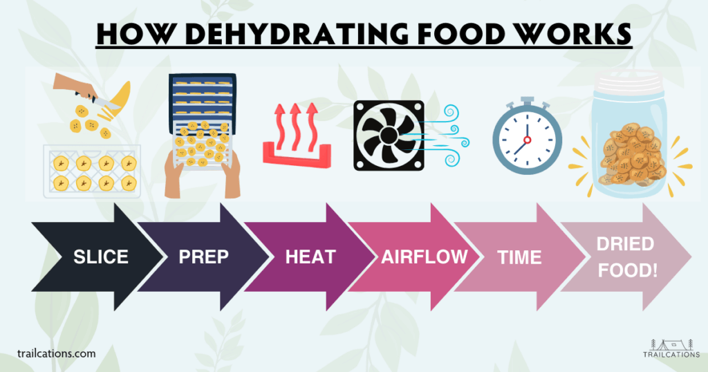 How dehydrating food works is simple! Heat + airflow + time = dehydrated food!