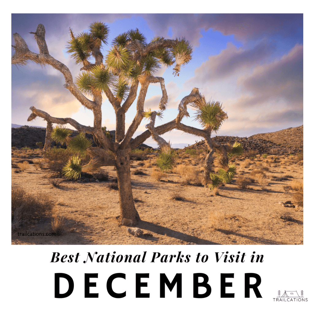 Best National Parks to Visit in December
