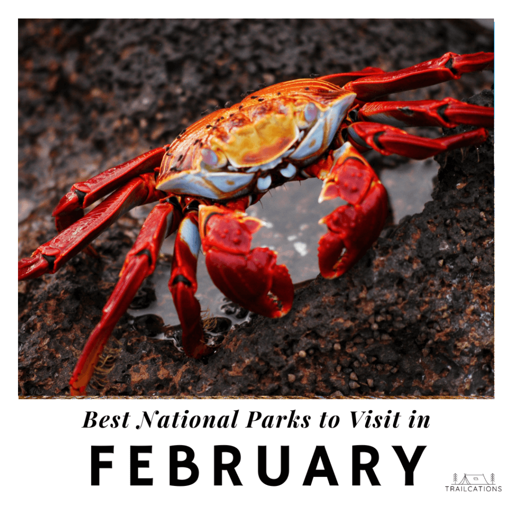 Best National Parks to Visit in February