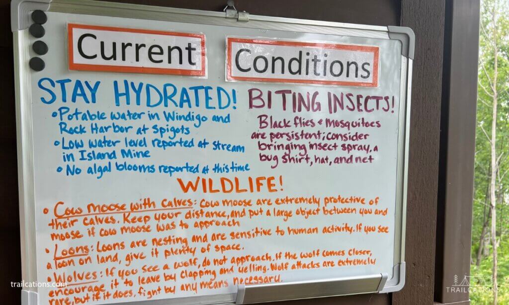 Pay attention to the current conditions bulletins at Rock Harbor and Windigo to understand the water situation, dehydration dangers and any wildlife to keep an eye out for.
