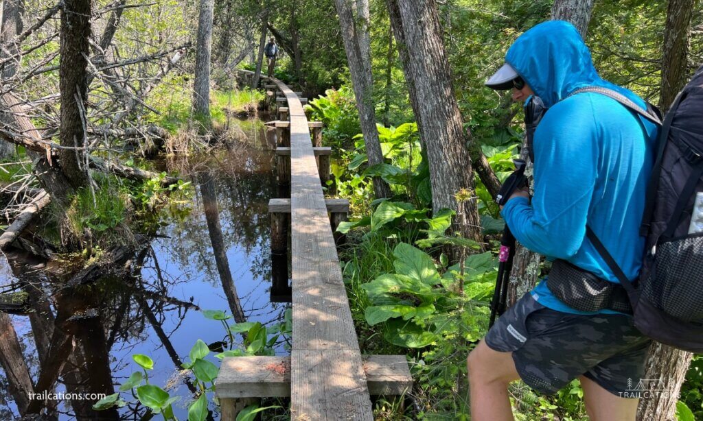 Traffic jam on one of Isle Royale's many boardwalks that traverse the island's wetlands. 