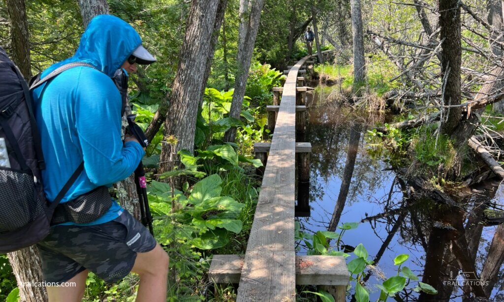 Hiking in Isle Royale presents challenges such as rocky slopes, overgrown paths, trails flooded by beaver dams and single-plank boardwalks across the swamps.