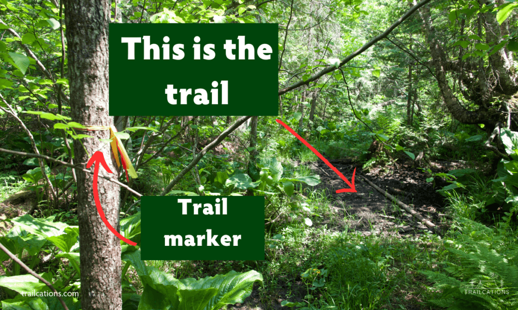 Trails in the interior of Isle Royale tend to become overgrown or flooded by beavers. A map is a super handy tool to have for any backpacking trip.